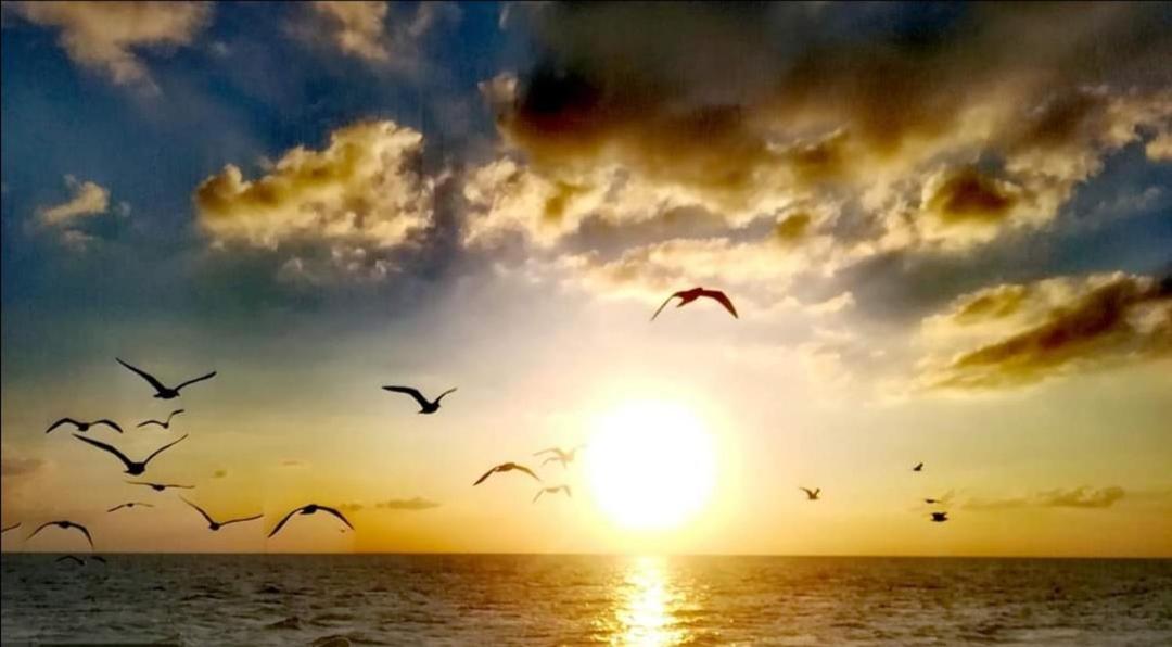 Appartamento Lido San Giovanni Gallipoli Kültér fotó
