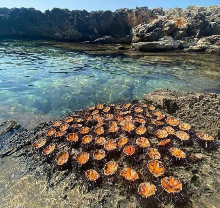 Appartamento Lido San Giovanni Gallipoli Kültér fotó