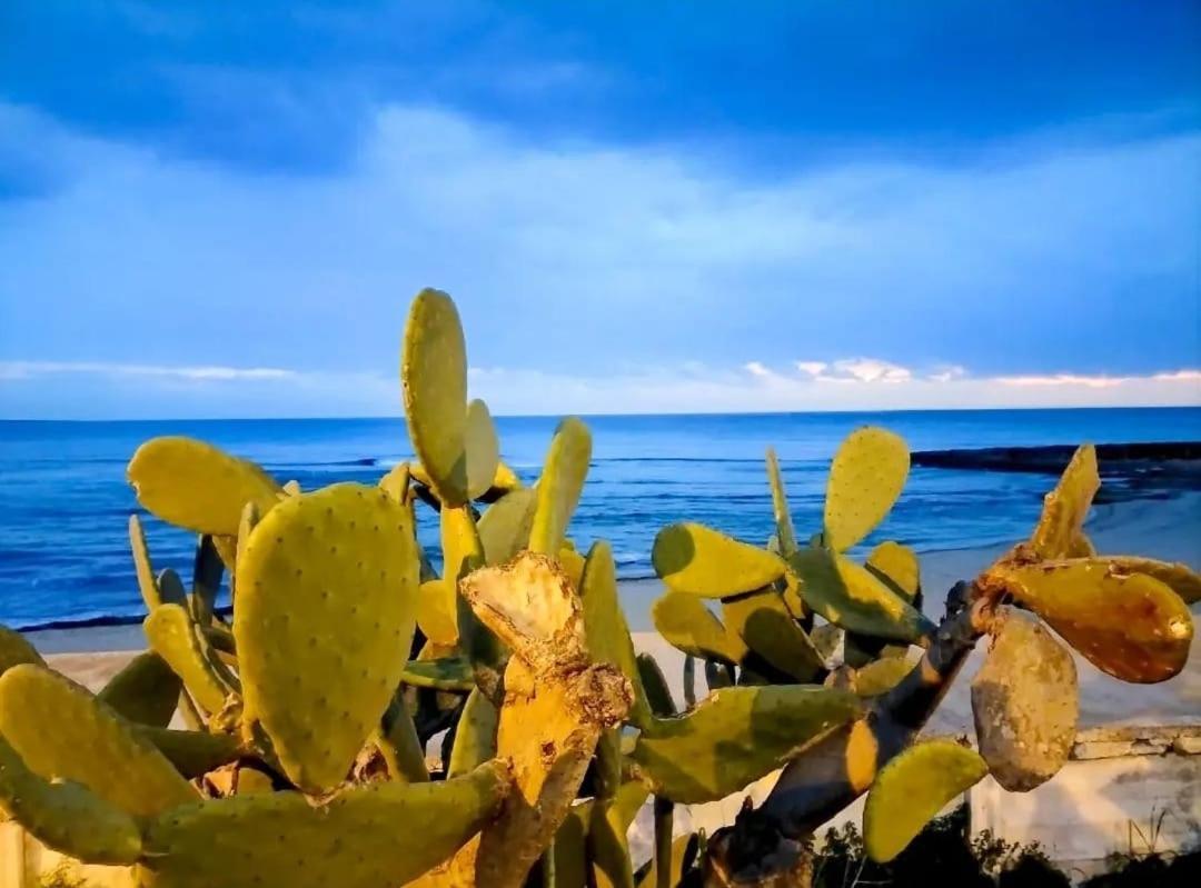 Appartamento Lido San Giovanni Gallipoli Kültér fotó